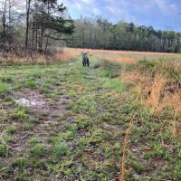 240 acres Year around lease available in Pittsylvania County, VA