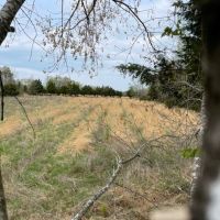 Ladder stand view