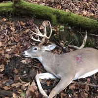 615 Acres South Eastern Ohio