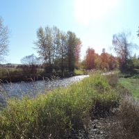 Wallowa Riverfront Home For Sale in Wallowa County OR images 3