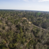 37 Acres FM 1097 images 3