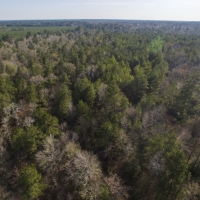 37 Acres FM 1097 images 4