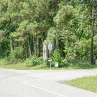 37 Acres FM 1097 images 6