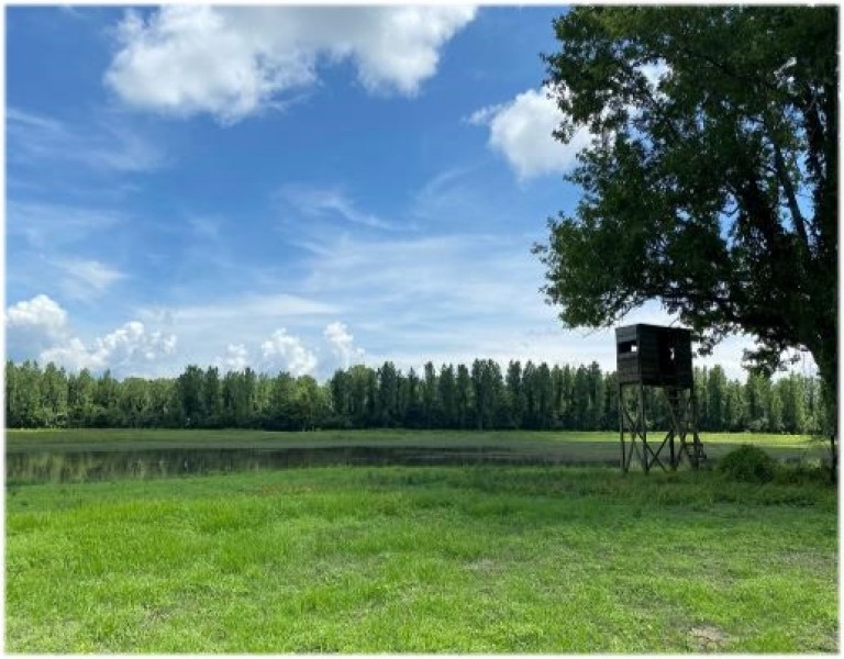 Two Equity Shares Sold Individually at Magna Vista Plantation in Issaquena County MS featured image