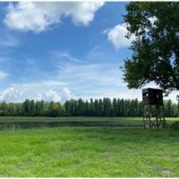 Two Equity Shares Sold Individually at Magna Vista Plantation in Issaquena County MS