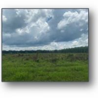 Two Equity Shares Sold Individually at Magna Vista Plantation in Issaquena County MS images 2