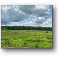 Two Equity Shares Sold Individually at Magna Vista Plantation in Issaquena County MS images 3