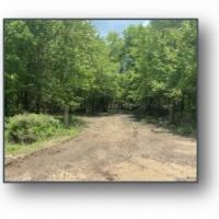 Two Equity Shares Sold Individually at Magna Vista Plantation in Issaquena County MS images 4