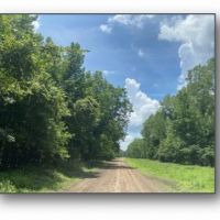 Two Equity Shares Sold Individually at Magna Vista Plantation in Issaquena County MS images 6