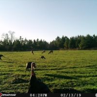 5,300 Acres w/ Trophy Bass Lake