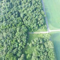40 acres of impressive recreational farm in Wayne County images 3