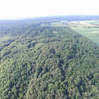 40 acres of impressive recreational farm in Wayne County images 4