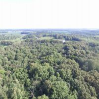 40 acres of impressive recreational farm in Wayne County images 5