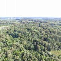 40 acres of impressive recreational farm in Wayne County images 6