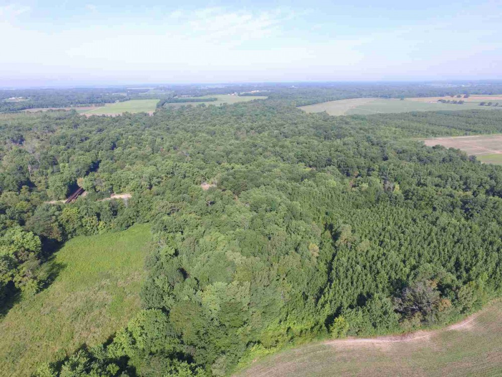 Great Hunting with Income near the Little Wabash river featured image