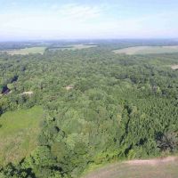 Great Hunting with Income near the Little Wabash river