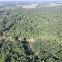 Great Hunting with Income near the Little Wabash river images 2