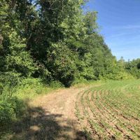 Great Hunting with Income near the Little Wabash river images 3