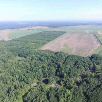 Great Hunting with Income near the Little Wabash river images 4