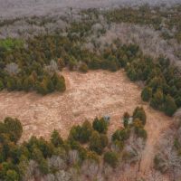 Pond Creek Acres images 3