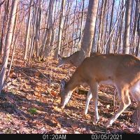 Southeast Ohio land