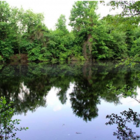Great Hunting Location