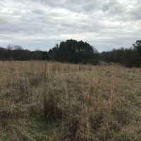 Beaverdam South - 1,200 Acres in Wilkes County, GA