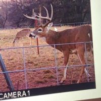 Lease on ranch in Clay County TX