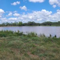 Hunting Lease 350 acres in Northern Archer County, TX