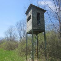 Flat Creek Cabin on 125+ Acres
