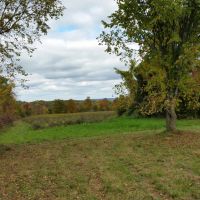 Fieldview1