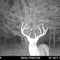 Exceptionally Rare Lease In Big Boy Country