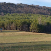 hunt looking over mountains