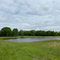 Img 7898
