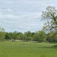 Img 7906