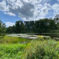 Beautiful Hunting Land With Rolling Hills, Hardwoods and Marshes in Tustin/Cadillac Area
