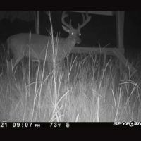 411 acres in Talbot County Ga