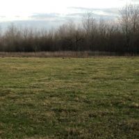 Annual Hunting Lease Bogata, Texas