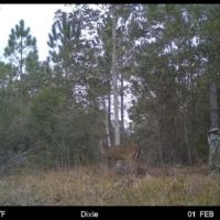 Hunting club membership south Hancock county
