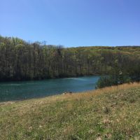 Img 0856