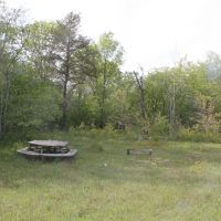 Camping area of the property