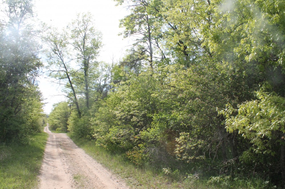 Opposite view of the road in front of the property featured image