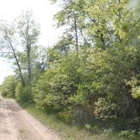 Opposite view of the road in front of the property