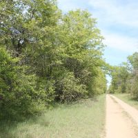Road in front of property