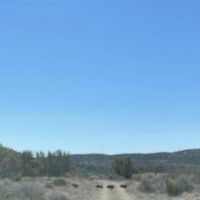 Hernandez Ranch