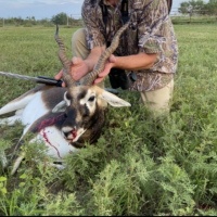 Blackbuck Hunt