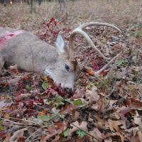 160 acre whitetail property