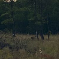 Img 0178