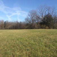 180 Acres of Great Hunting Woods in Williamson County!