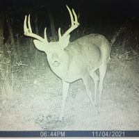 Great spot in zone 4 Decatur Co Iowa
